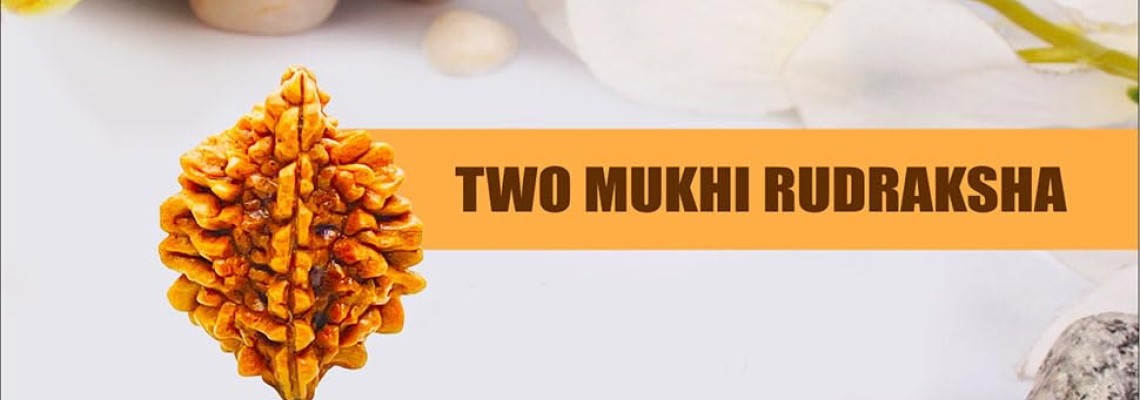 2 Mukhi Rudraksha: Benefits, Power and Significance 2 Mukhi Rudraksha: Benefits, Power and Significance
